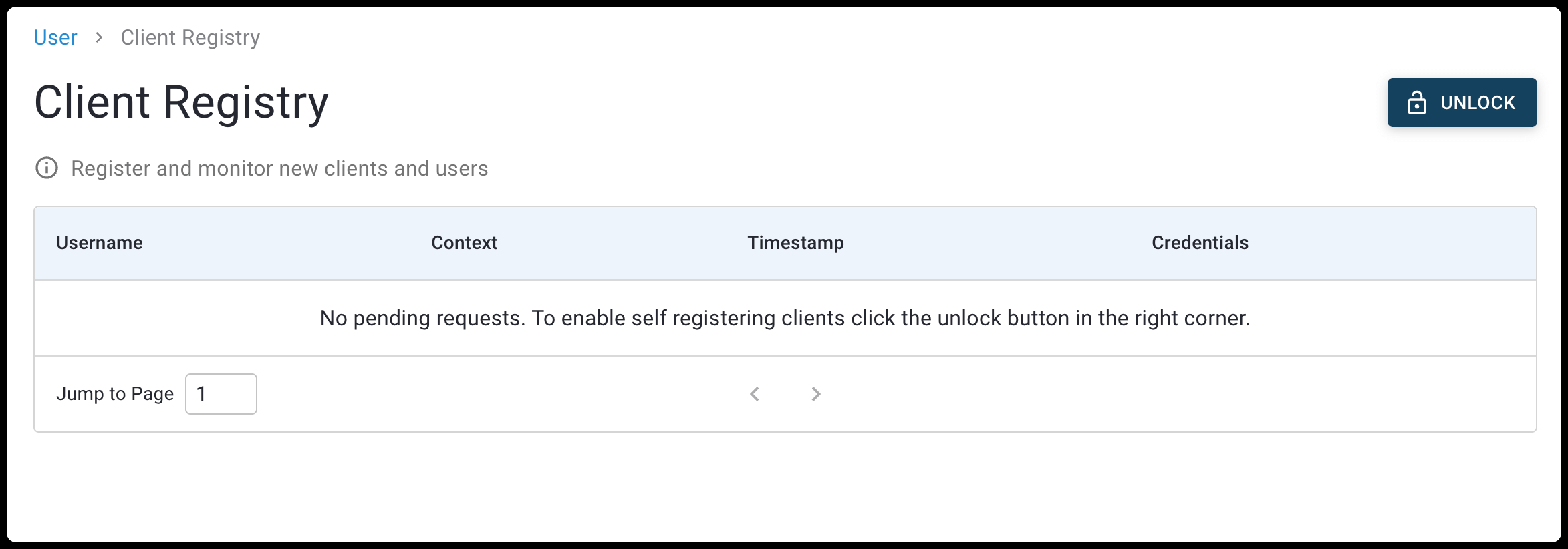 Client Registry View